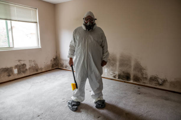 Attic Mold Removal in Buena Vista, MI